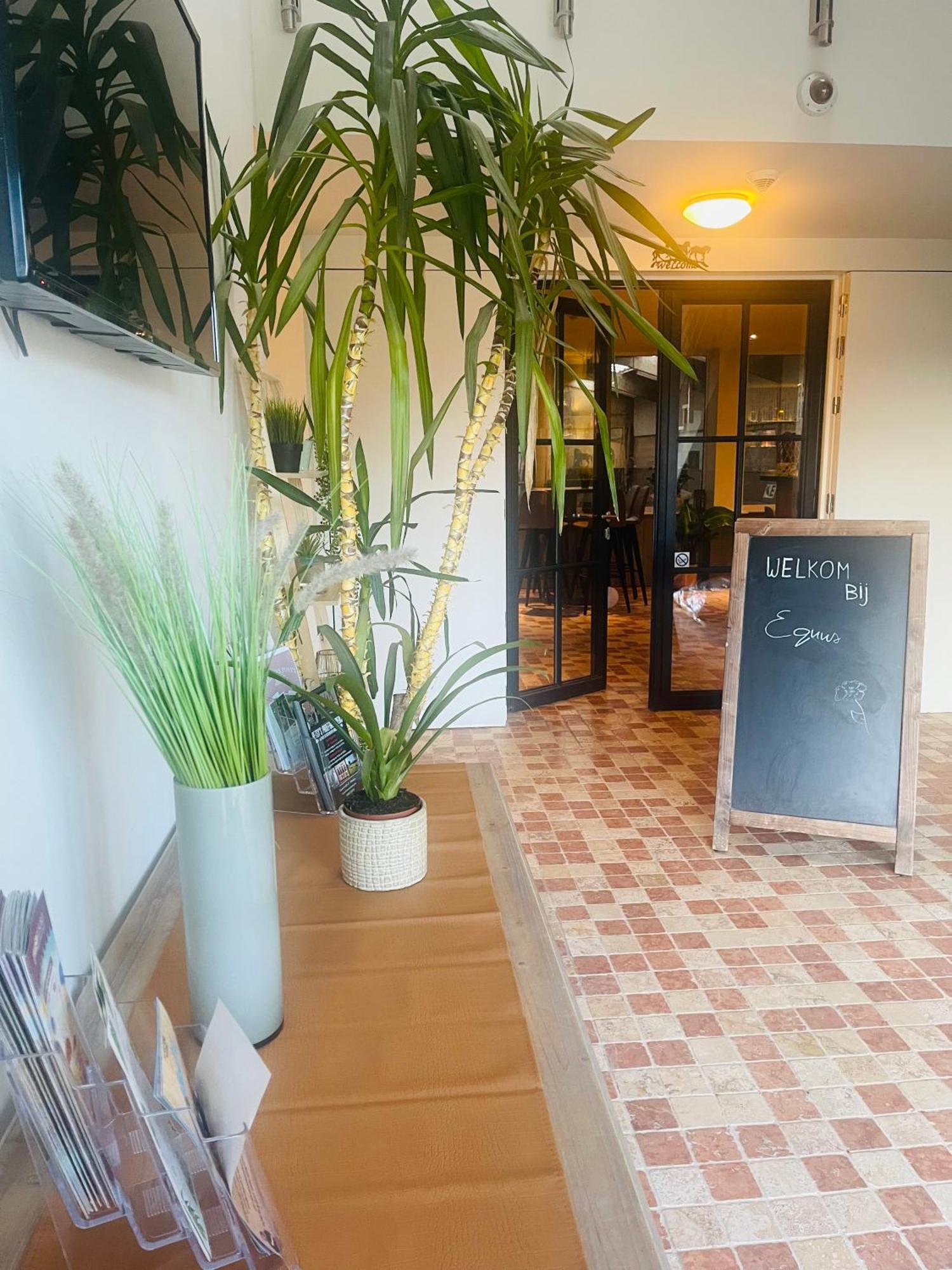 Equus B&B เบรเดเน ภายนอก รูปภาพ